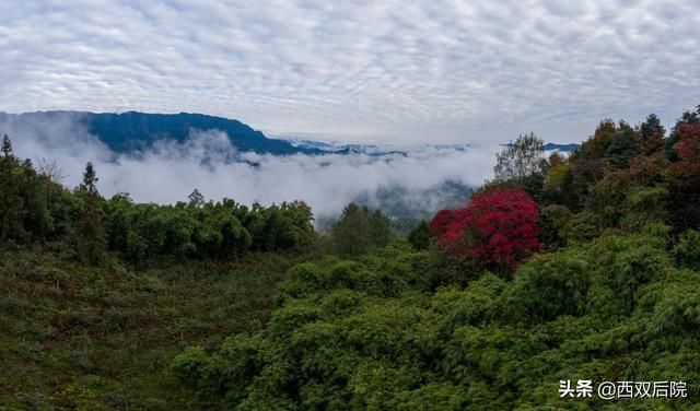 天台山后山天然山庄观景果然不错，感谢条友“听雨大漠孤烟”推荐