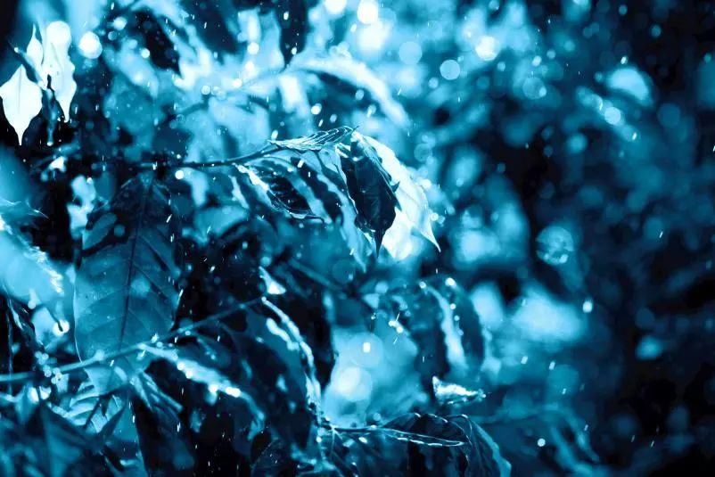 这个夏天，继续开启#蓝色乐活#力吧!