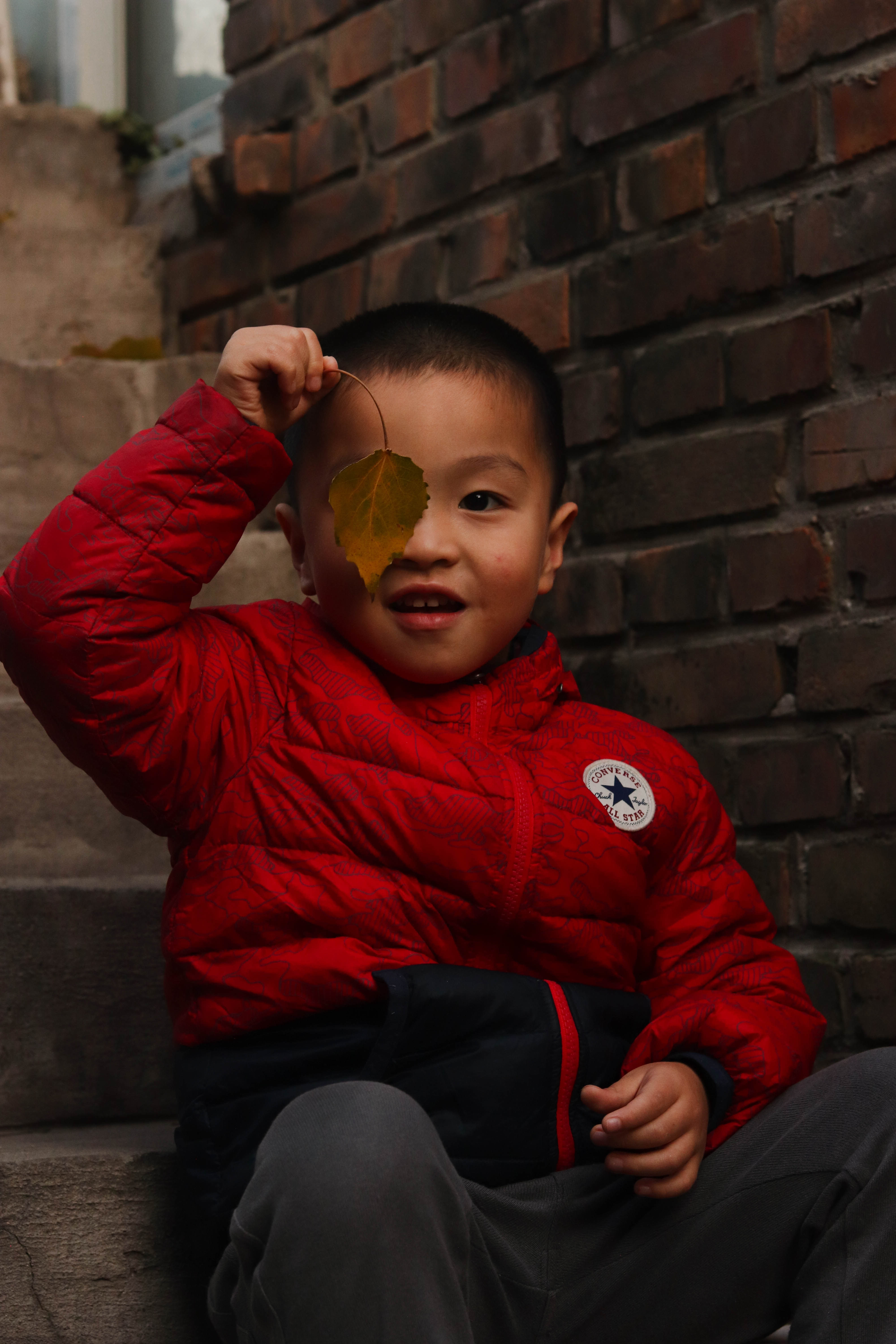 他愿付出生命的三分之二,只为留住北国秋天│北京表情