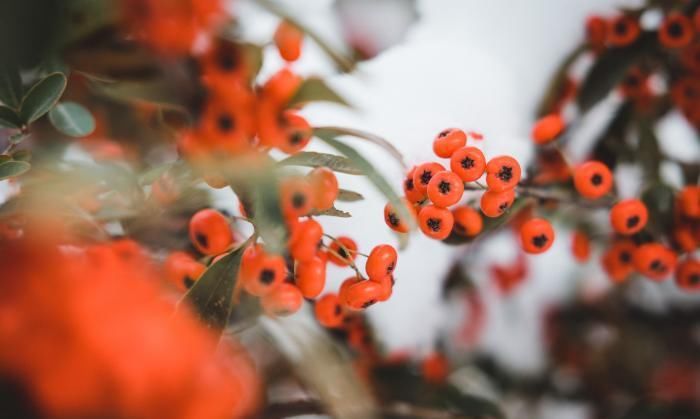 冬天雪景照片，咋拍好看？咋构图咋修图？这4个摄影技巧帮你