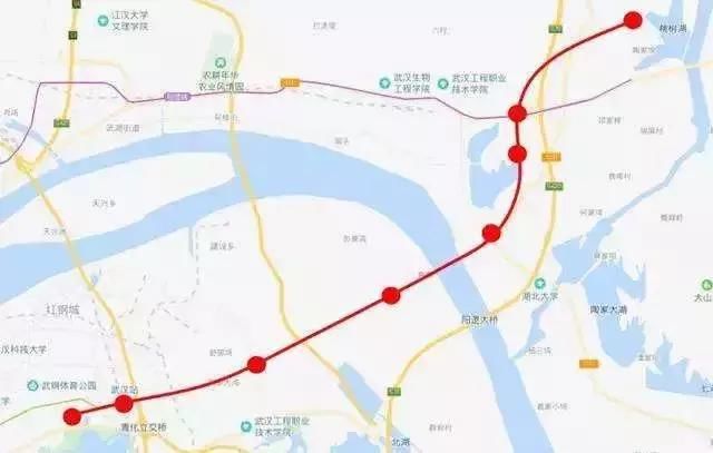 2019武汉将全面大规划