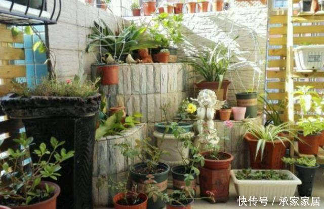 「适合」室内这三个地方不适合养花卉,别乱摆放花卉,怪不得越过越穷