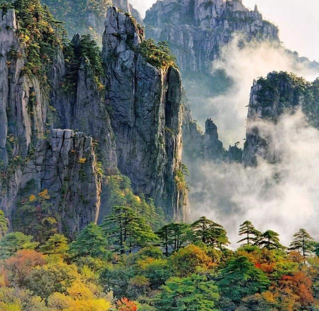 黄山门票价格腰斩，能省141元，但是却得罪了很多网友！