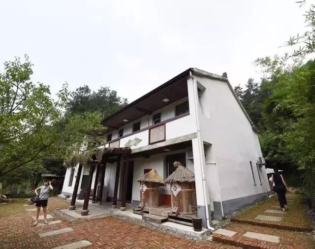 他在杭州打造了一个全中国最美的猪圈！纽约时报都报道了