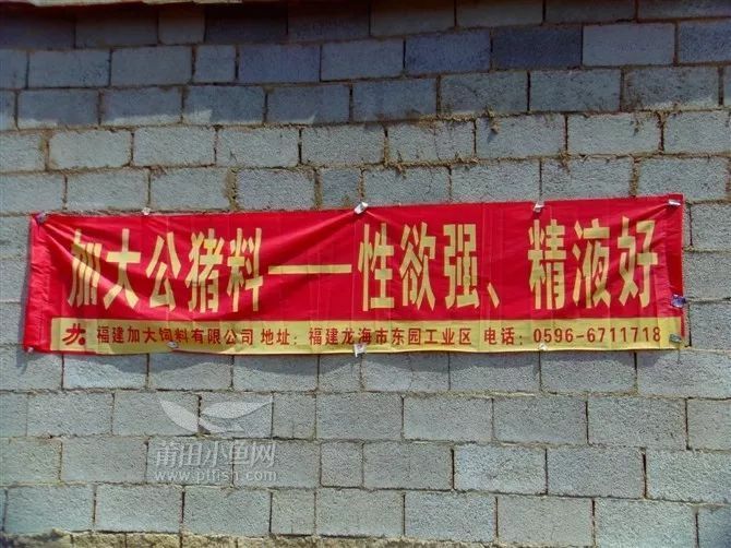 村主任领头，要落实以下6件事，农民不配合或将被处罚！