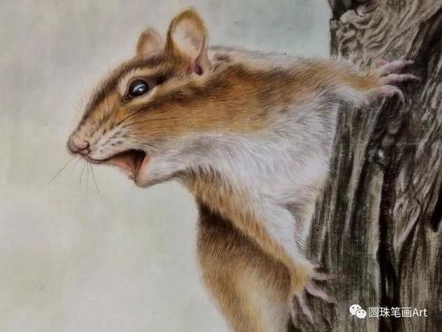 他笔下的这些细腻逼真的工笔画，让人叹为观止！