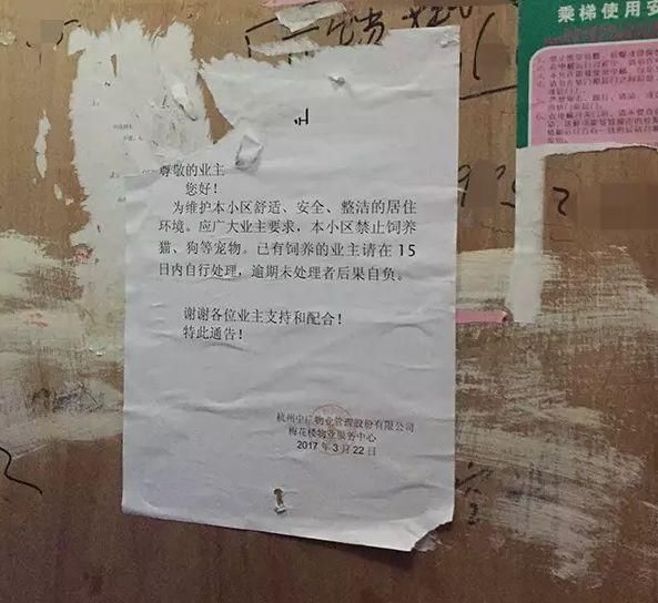 在网上被骂，在小区里被打，竟然还有人要毒我们的狗，为什么现在