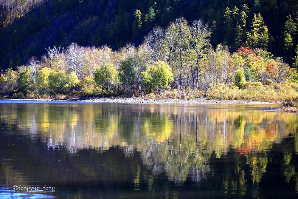 大兴安岭特大火灾澳洲火灾