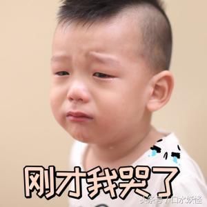 儿子被人造谣抹黑，何洁发文怒怼，这四个字看得让人心疼