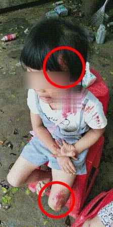  大货车|潮阳这名司机赶紧自首吧！