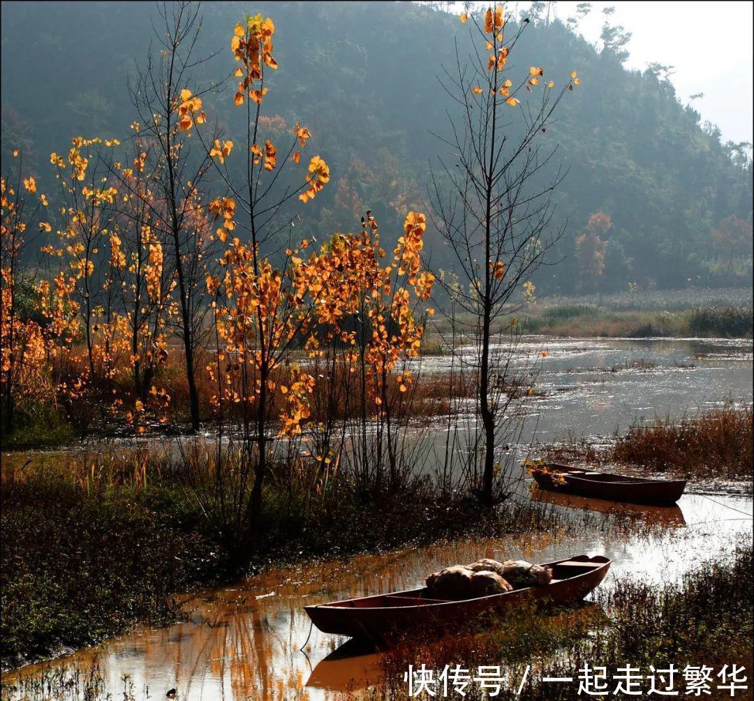 再过两个多月，临海这两个地方要美翻了！