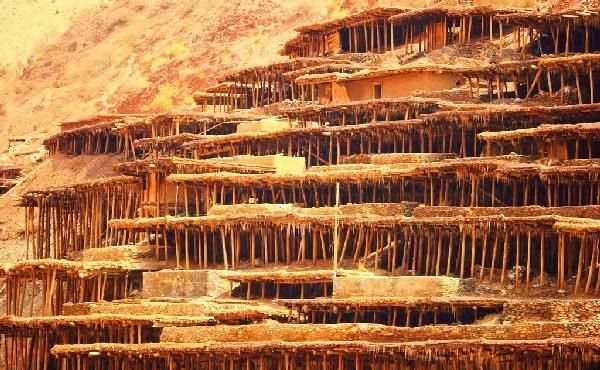 中国那些惊艳世界的田地，唯有西藏这个最为特别