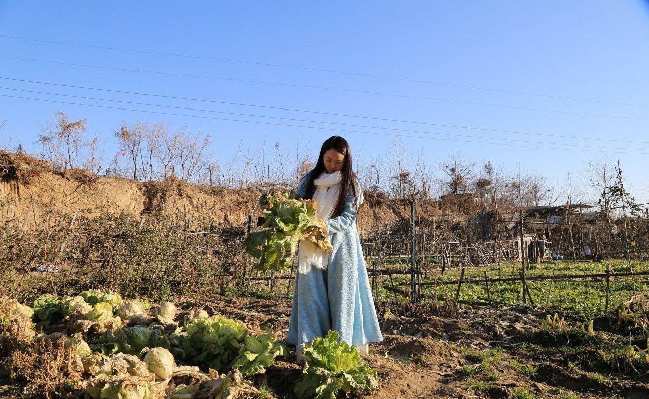 50亩地是多少平方米