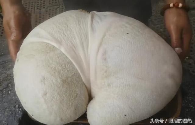 在川藏线上点了个128元的大包子,切开的时候