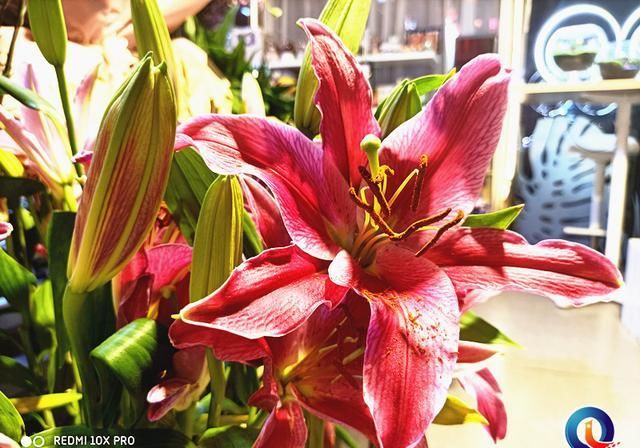  Redmi|天玑820到底有多强？Redmi 10X Pro评测