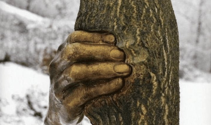 最独特的手,一双托起大桥,一只50年“打造”,最后一只在中国