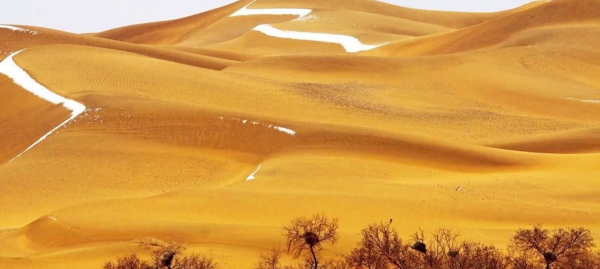 世界最微小沙漠之一,暗藏黄金,储量每年莫名提升