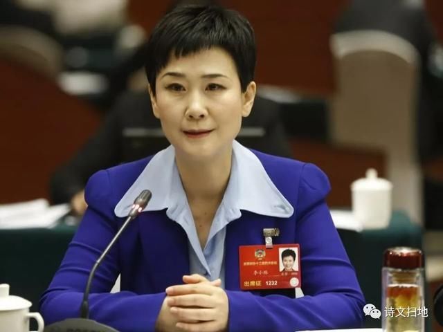 从国企任职到智库，李小琳不寻常的“退而不休”