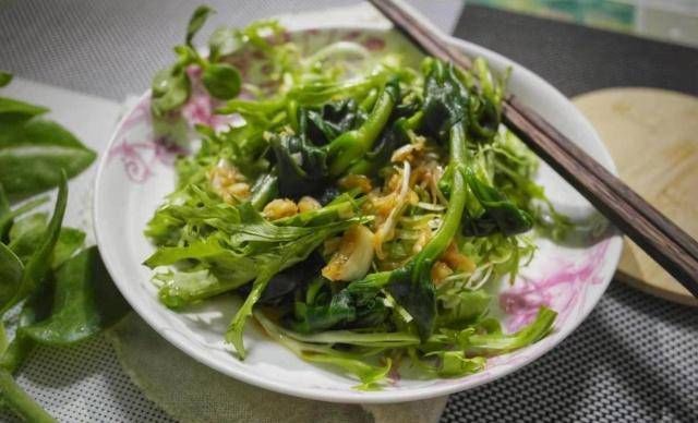 「冰花」心叶冰花可以吃,苦苣用冷,新鲜的味道也可以火!