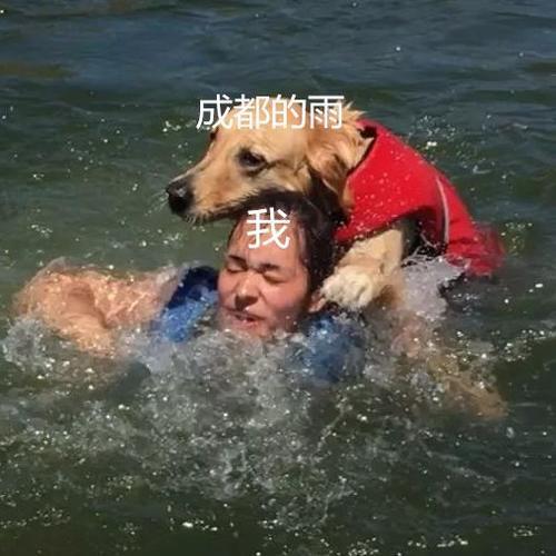 鳄鱼越狱了 合江亭被淹了…每到这时 谣言就开始出没了