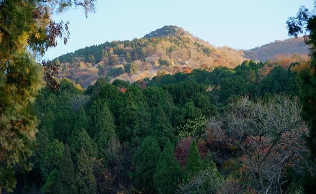 泰山没风景可看？那一定是因为来的时机不对