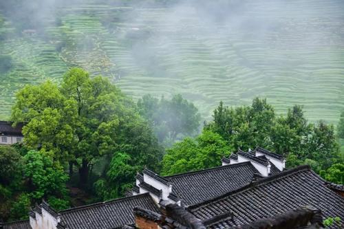 有一种美，叫遇见婺源烟雨！