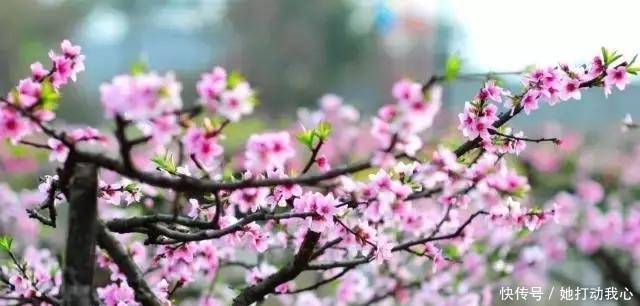 t0147785f8db25c5a1d.jpg?size=640x306