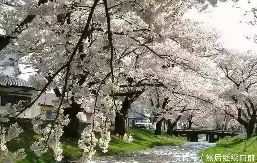  联系我们@日本的农村是怎样的？