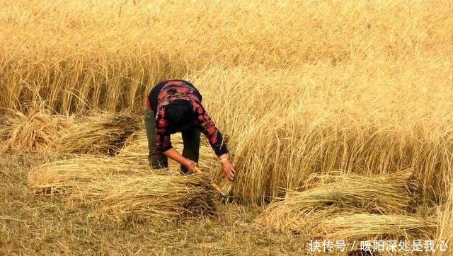  「留意」再过半个月，农村早已被叫停的3件事，又迎来高发期，农