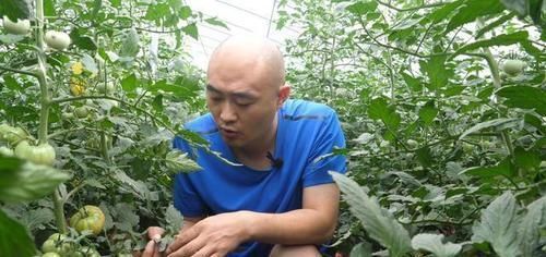  【通菠菜】农民种植这个青菜，可以带根吃，需求量大，你一定也吃过