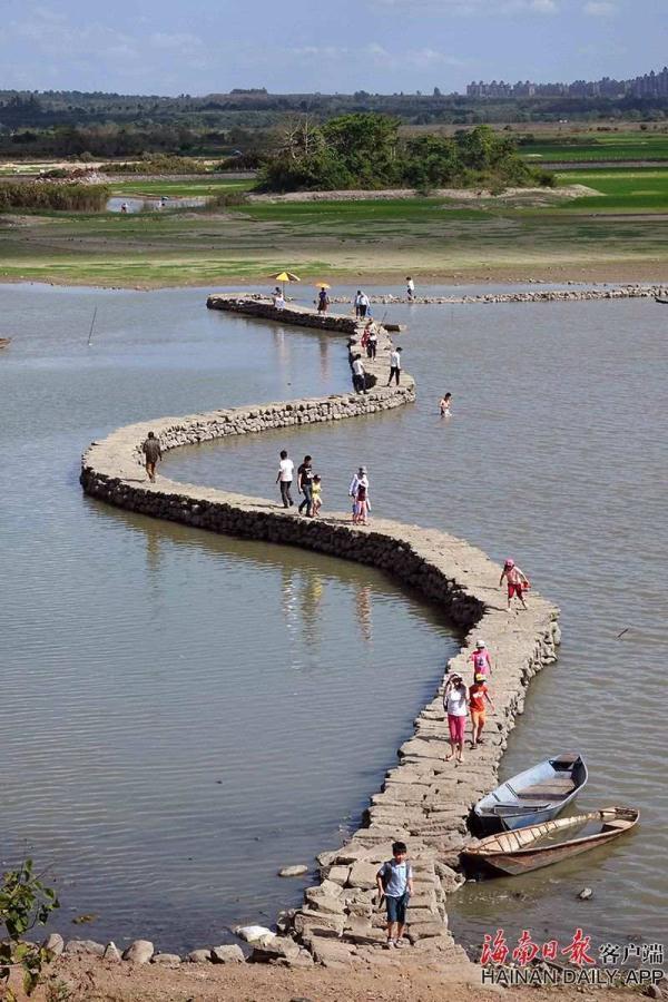 海口古迹“蛇桥”出水露真容