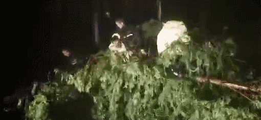 紧急扩散！台风提前袭山东！潍坊今晚将迎来强降水，水库提前泄洪