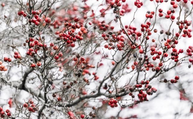 这5条摄影技巧，可让被拍摄主体更突出，你知道吗？