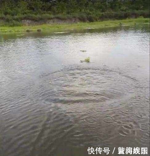  『收获』男子用矿泉水瓶做钓鱼神器，第二天收获喜人
