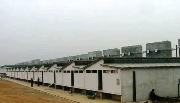  「费用」养猪场不再需要建猪舍了。这样建猪棚。不仅费用低，卫生也很干净