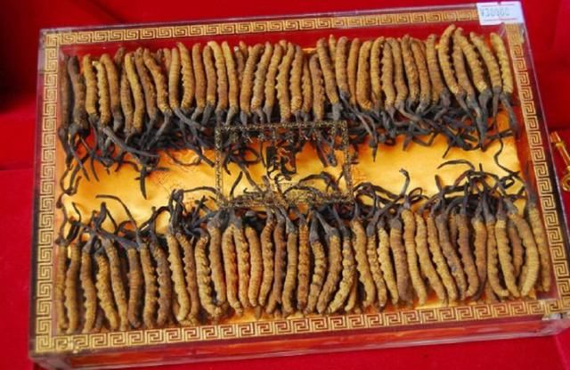 曾经卖出天价的神草，最后几元1斤，无人问津，居然和农民有关