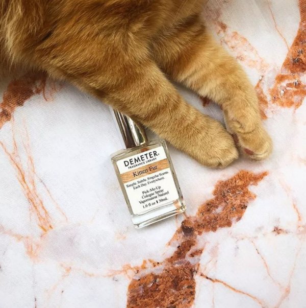 这些香水超好闻又不贵，为什么那么少人知道?!