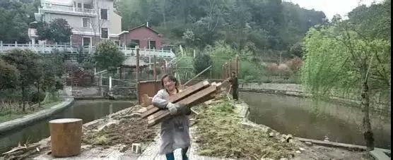 央视质问：让你查大棚，谁让你一刀切了？