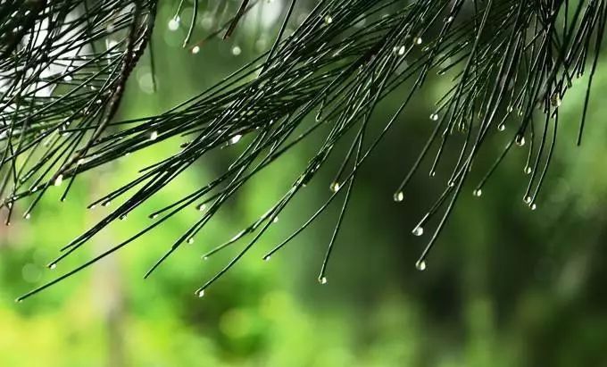 冷空气又杀回来了：降雨+降温！
