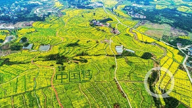 暖春花开香百里 乡村发展正当时【2020热门旅游景点】