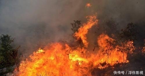 澳大利亚发生火灾的地方