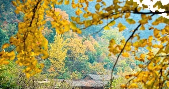 中国最神秘村庄，生一人必死一人有未解之谜，更美似世外桃源