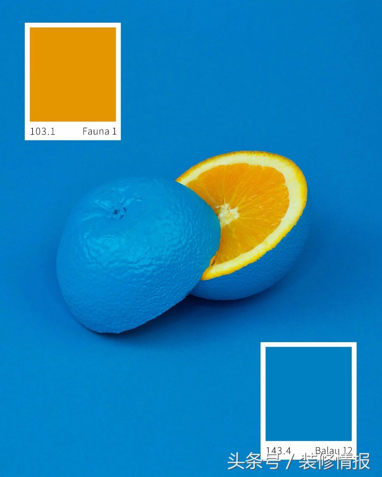 家居色彩搭配不纠结，7款垂涎欲滴水果屋拯救你的2019!