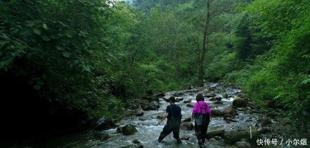  「89年」89年云南小伙养鱼年入290万，收集鱼苗走了6万里路，还