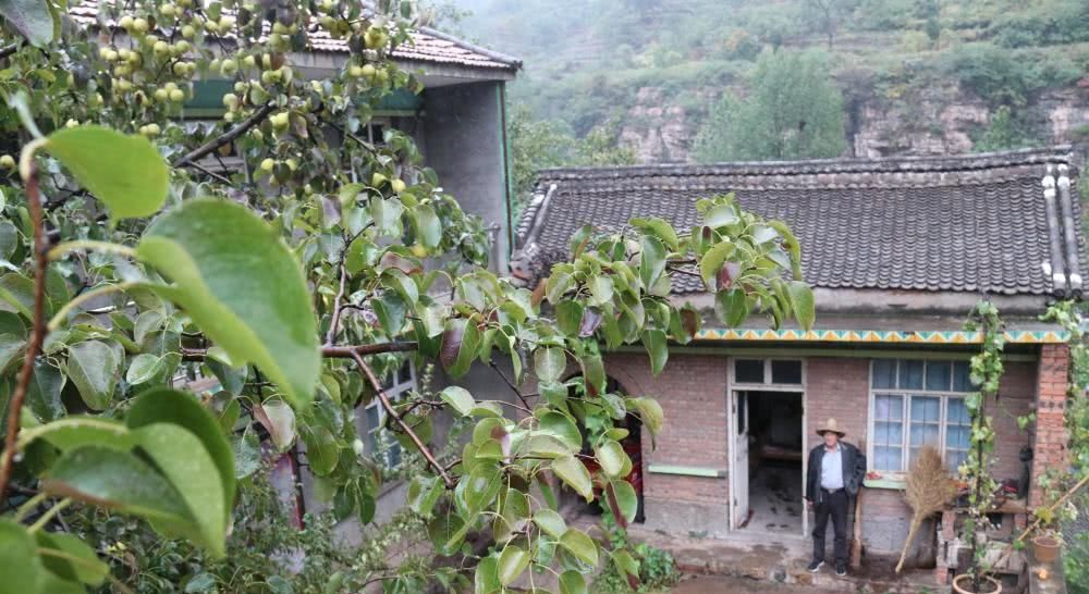  【归隐】60岁远离城市归隐深山养老，开荒种田自给自足，果蔬吃