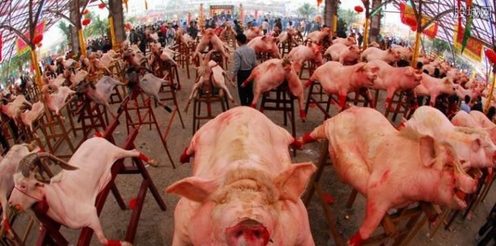 1.8万吨阿根廷进口猪肉到港, 专家: 压根不够吃货们塞牙缝儿!