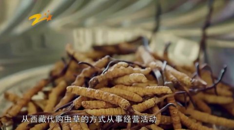 中央纪委点名落马区长:住600平房子 代购虫草赚钱
