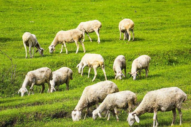  「大连」中国最长的省，不是甘肃省，比大连到海口还要长很多！