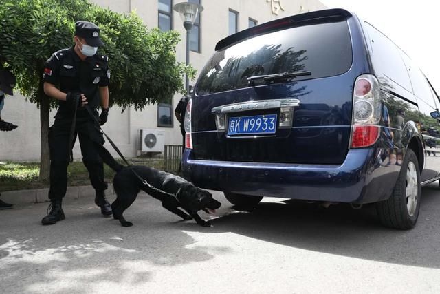 『技能』北京警犬可识别激光笔指令,搜爆技能升级至搜索枪支散件