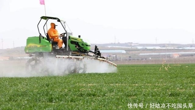 国家严查低保户，这5类人要被“揪出”，补助该给真正需要它的人